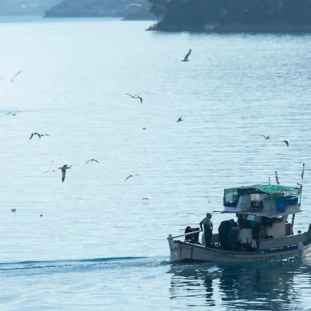 Agoritsa Beachfront With Its Own Pontoon 奈德里